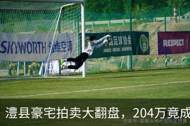 澧县豪宅拍卖大翻盘，204万竟成底价收获！